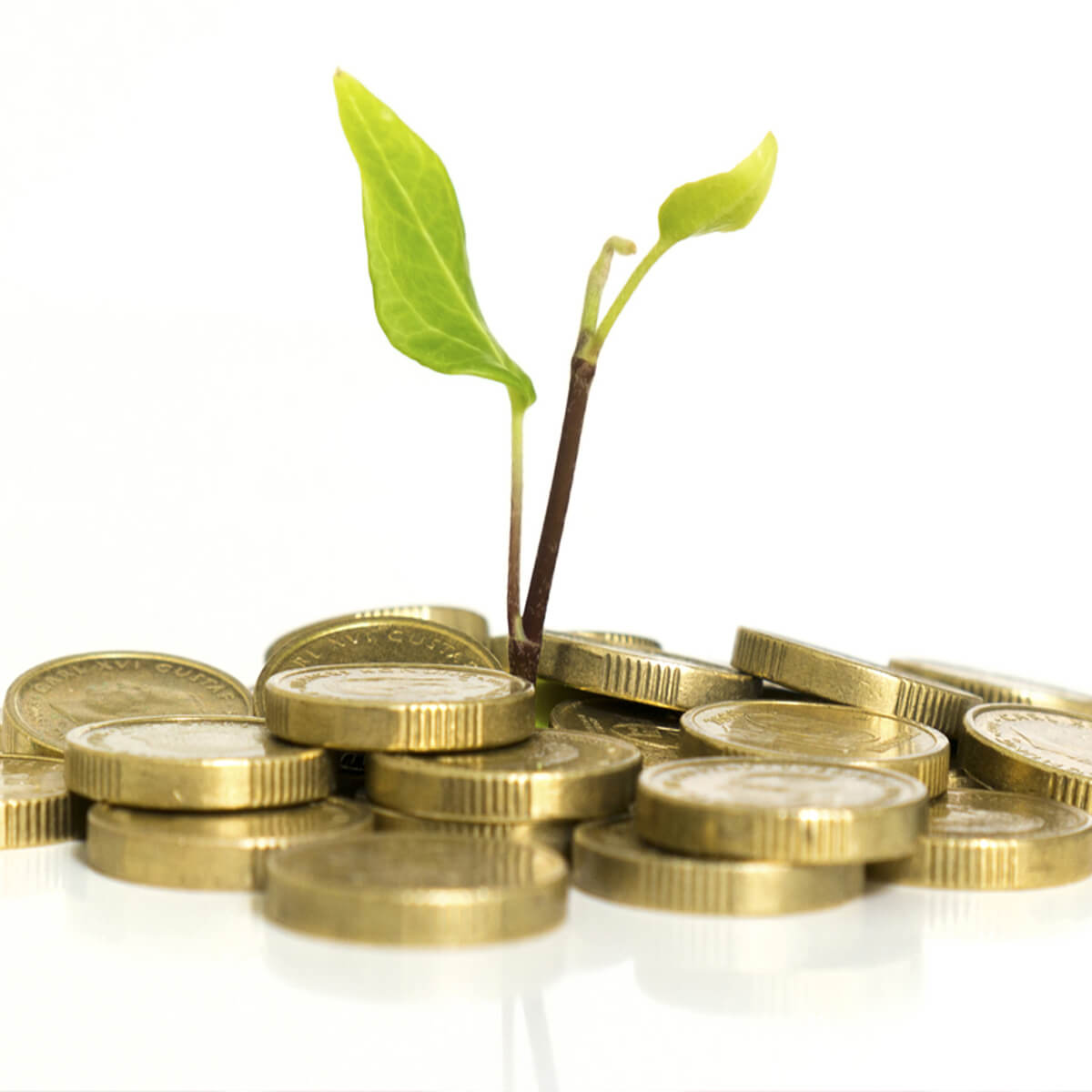 Angel Ventures México celebra siete años