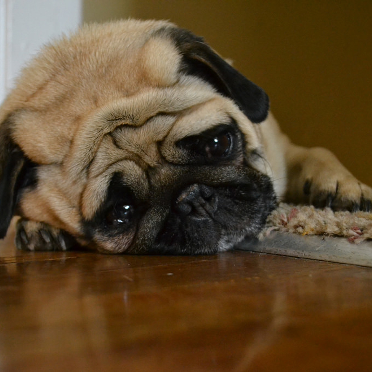 7 tips para evitar la tristeza de domingo