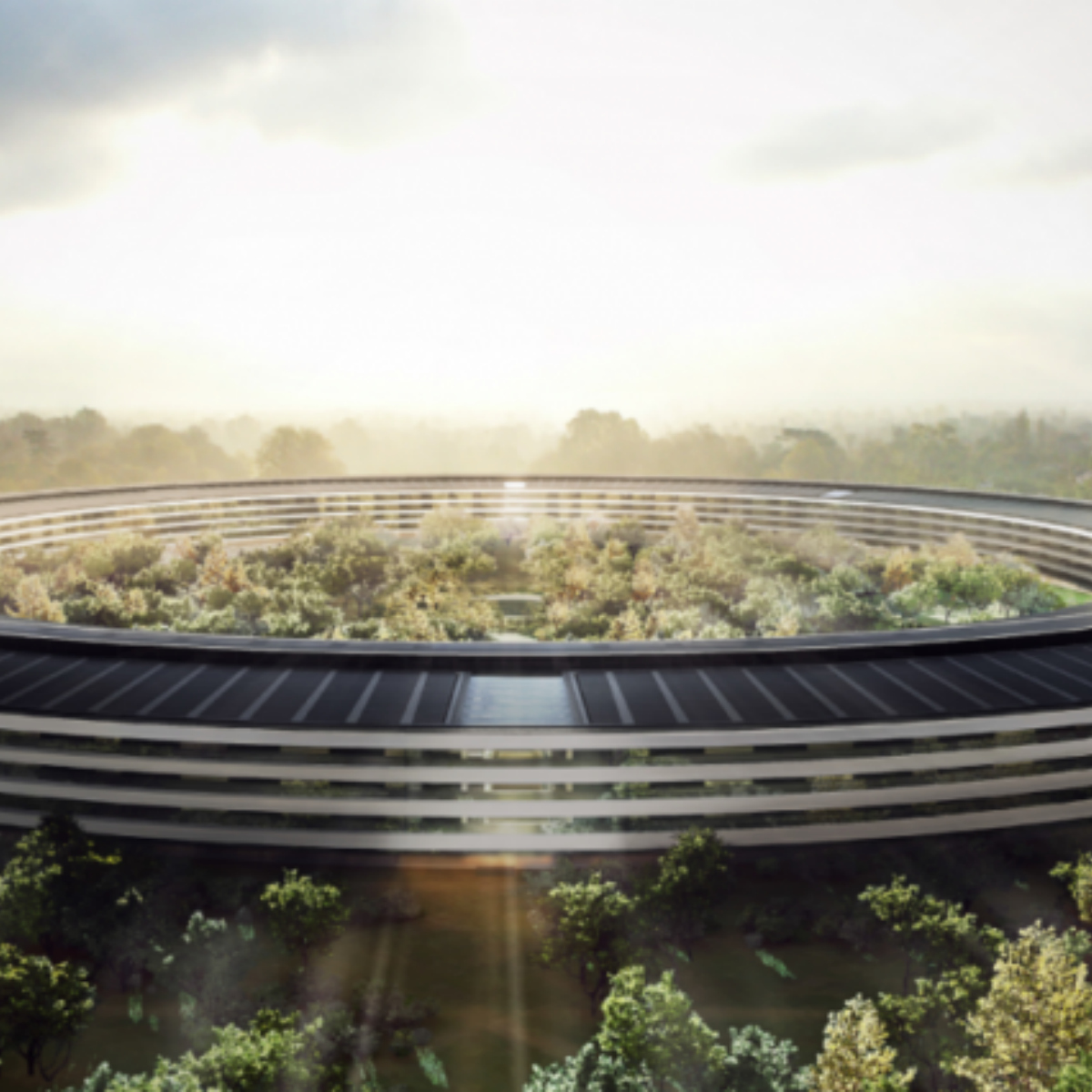 VIDEO: Así va la construcción de la oficina más grande del mundo