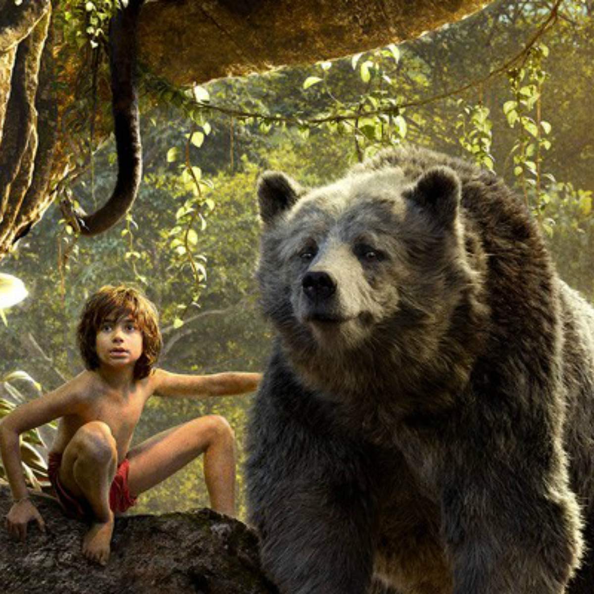 Estos son los estrenos de Netflix para noviembre