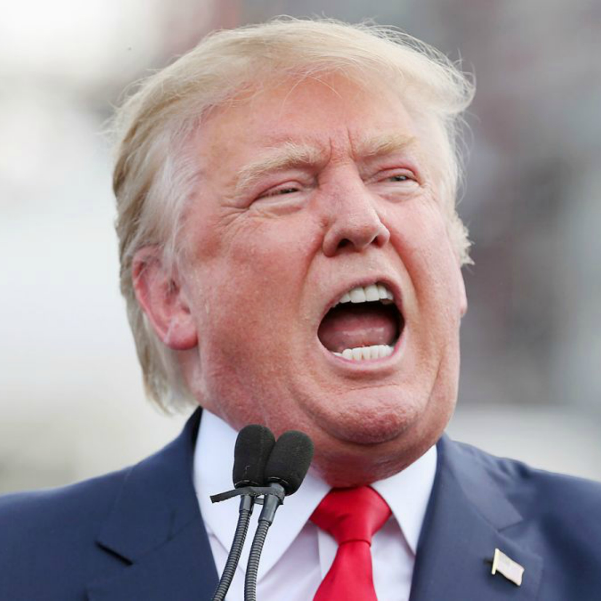 ¿Qué industrias son las que ganarán con la administración Trump?