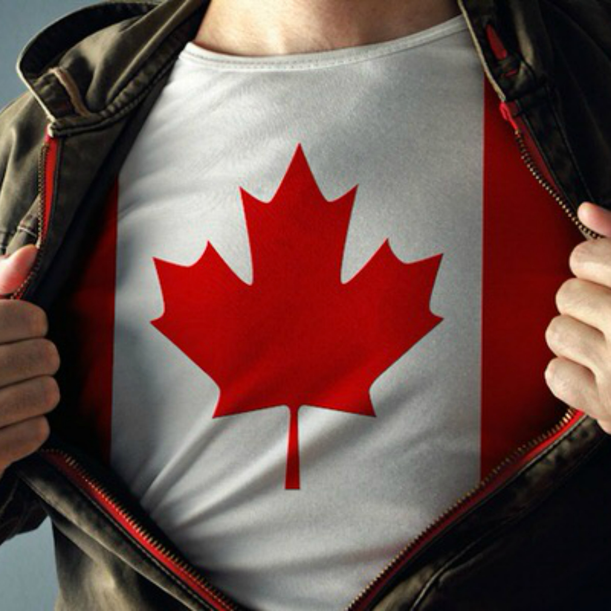 Canadá declara al internet de alta velocidad un derecho humano básico