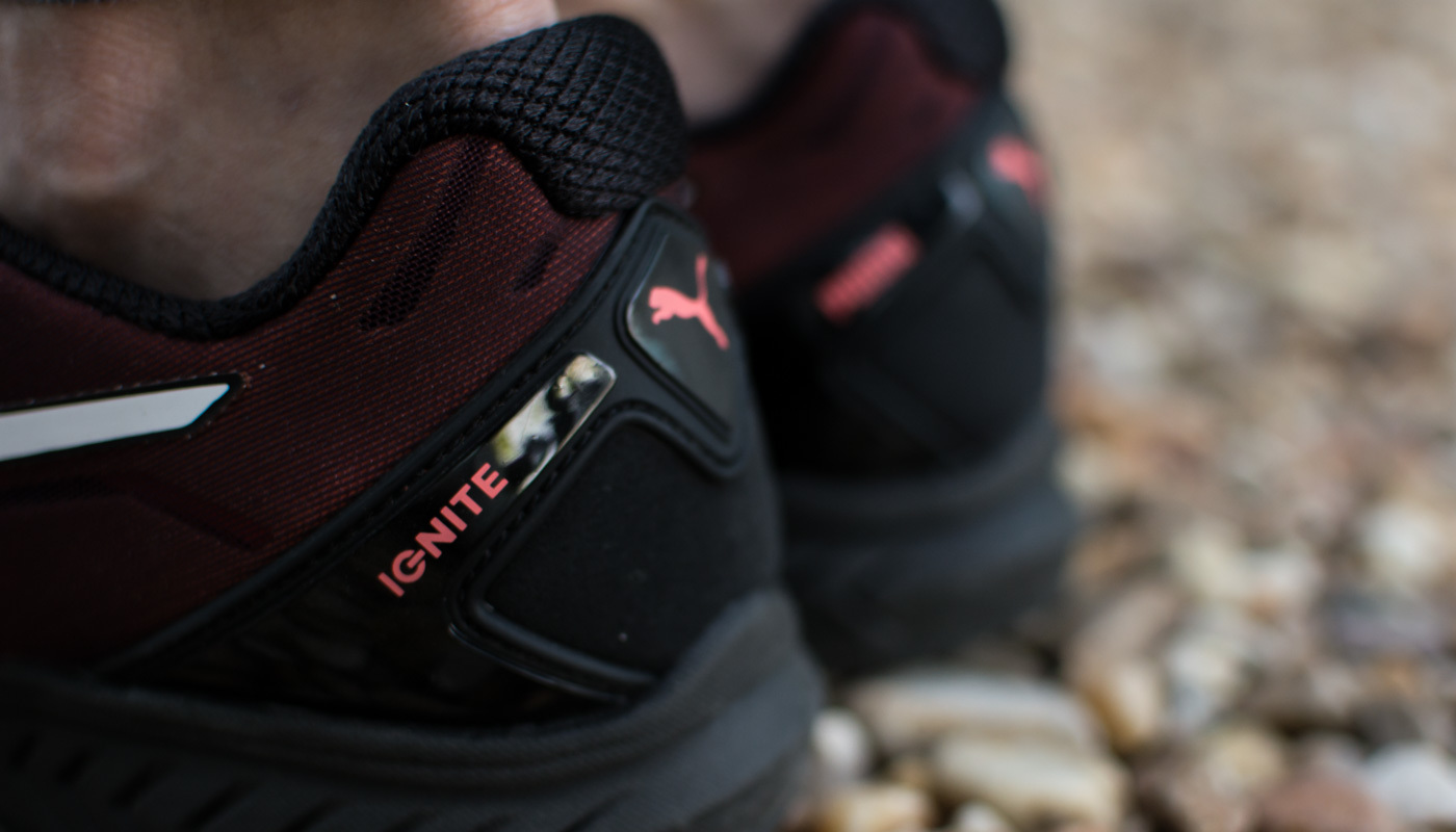 ¡La Navidad llegó a BizNext!