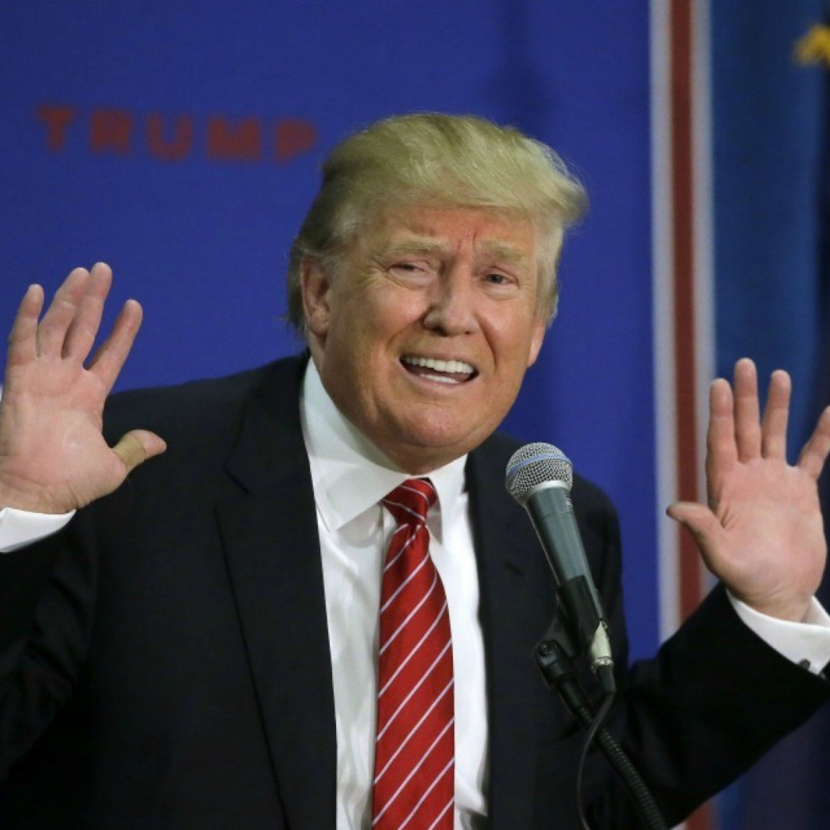 Cómo usar la cuenta de Twitter de Donald Trump en su contra