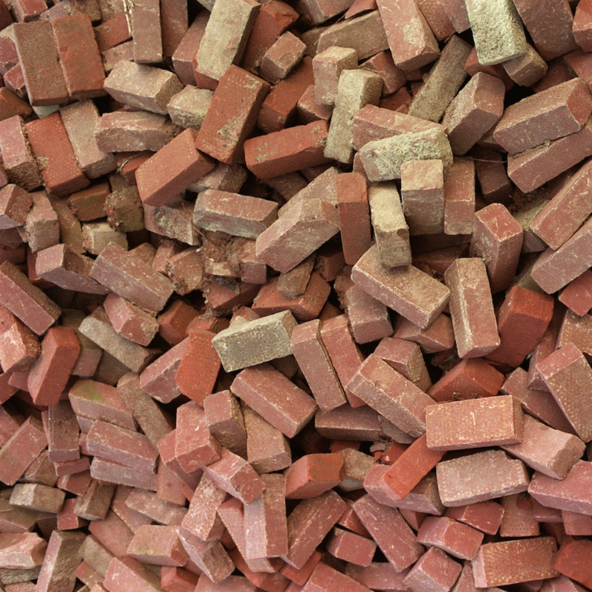 Estudiantes politécnicos inventan una fábrica portátil de ladrillos