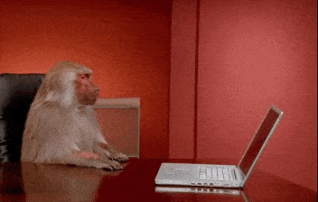 giphy (69)