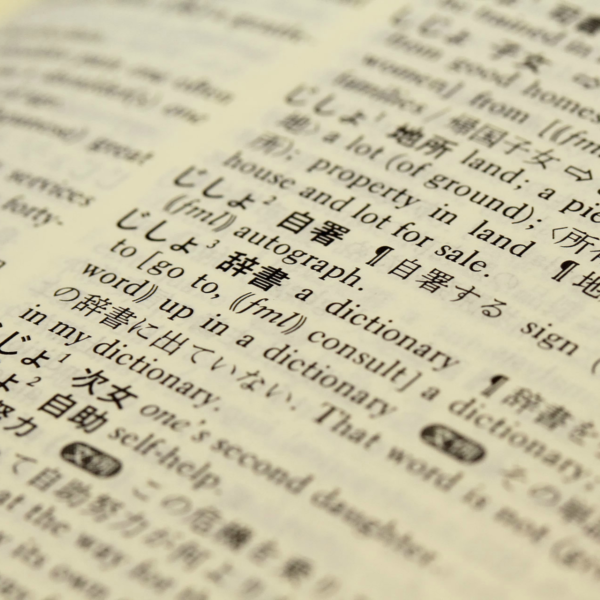 Aprende estos dos idiomas si quieres triunfar en la vida