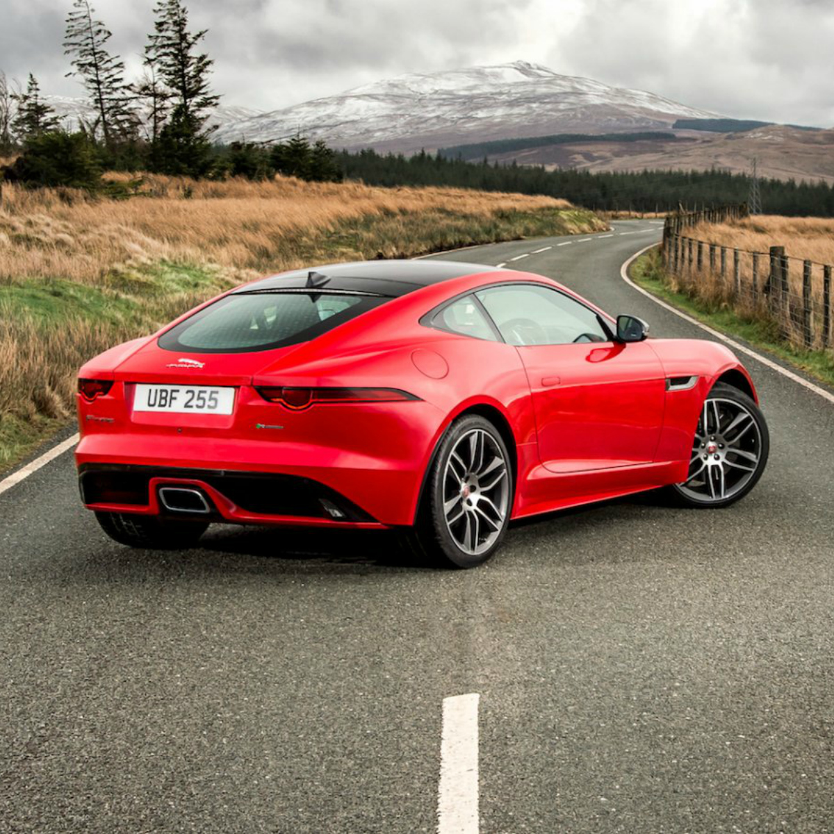 Estos son los autos más increíbles que vimos en el New York Auto Show