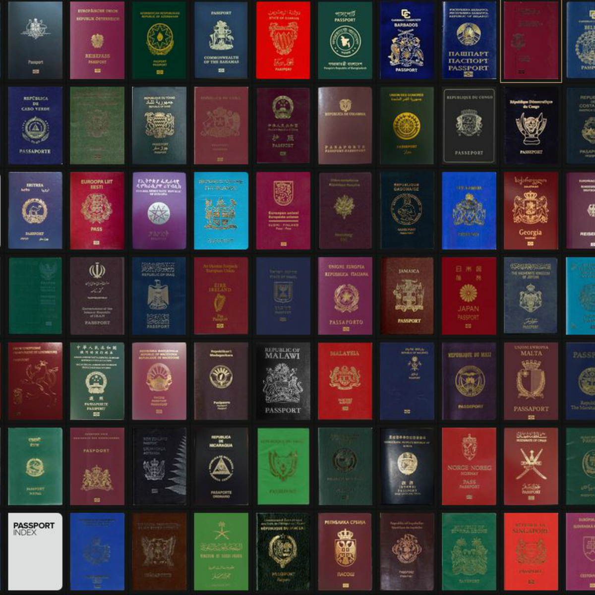 ¿Por qué todos los pasaportes del mundo vienen solo en cuatro colores?