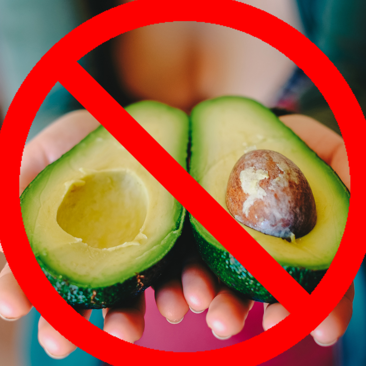 En Reino Unido cortar aguacates es una actividad de riesgo