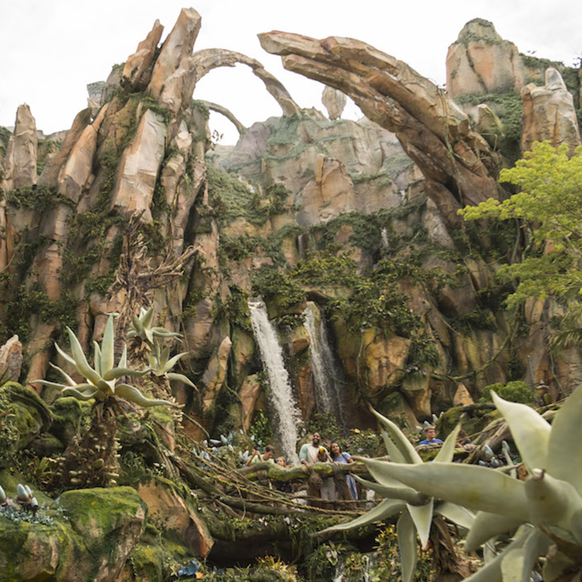 ¿Fan de Avatar? Checa cómo quedó el parque temático de la película