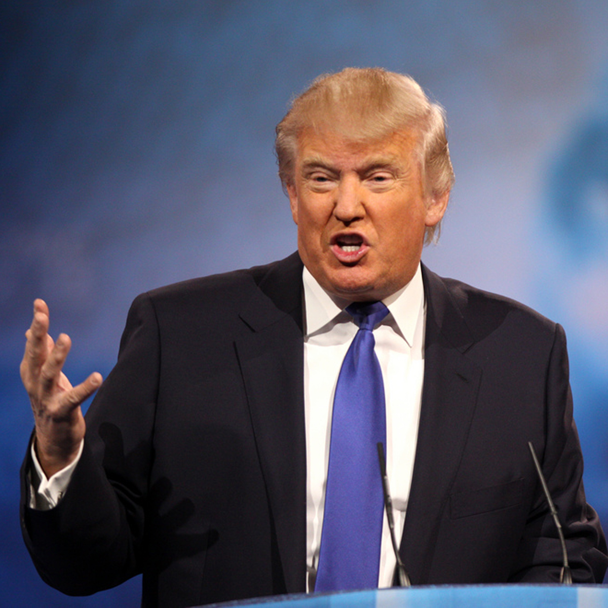 Dos millonarios de Silicon Valley quieren hacer realidad el muro de Trump