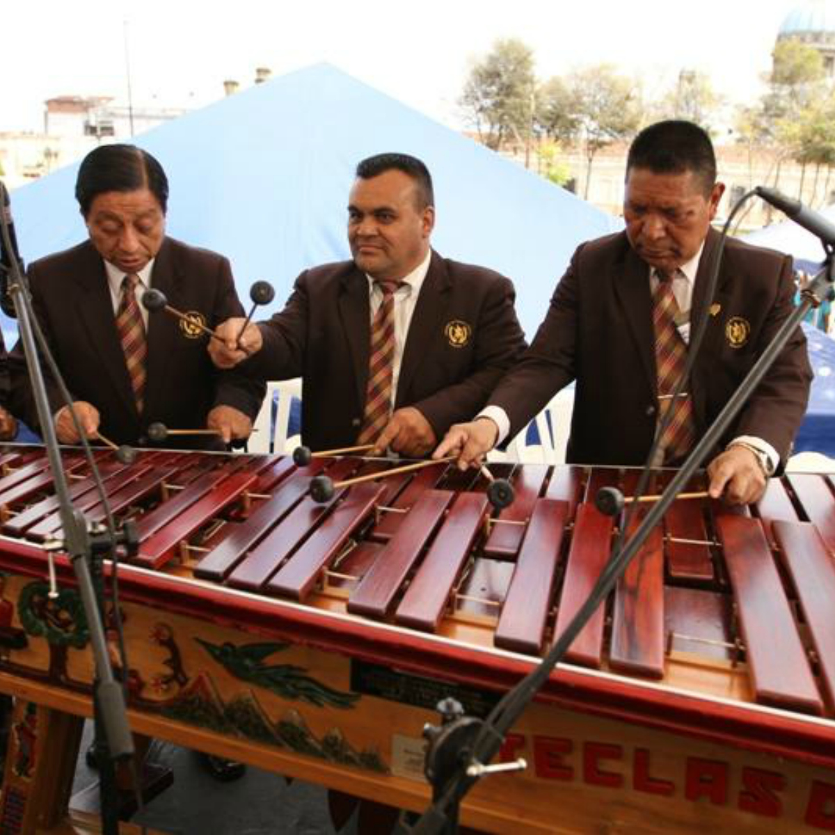 Este robot le podría quitar el trabajo a los tradicionales marimberos