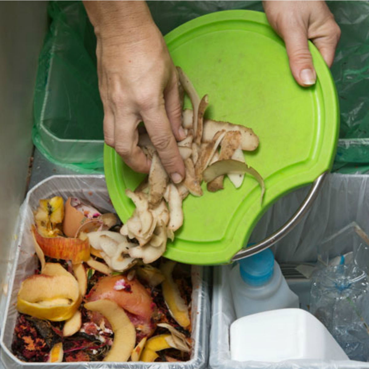 Capitalinos tendrán que clasificar la basura en tres recipientes a partir del 8 de julio