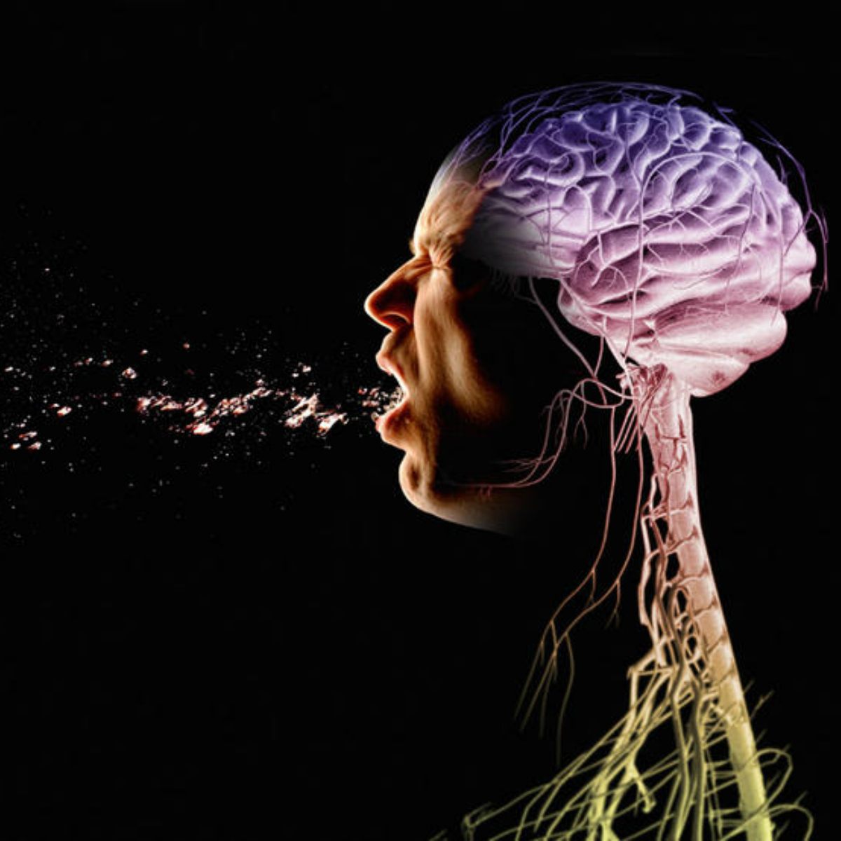 Lo que no sabías que puede pasarte si reprimes los estornudos