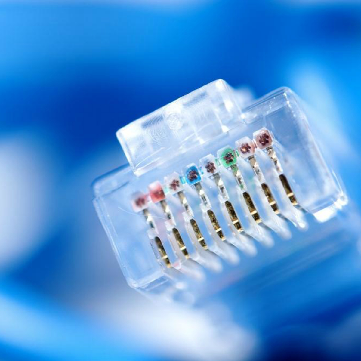 Este es el estado mexicano que mejor conexión a internet tiene