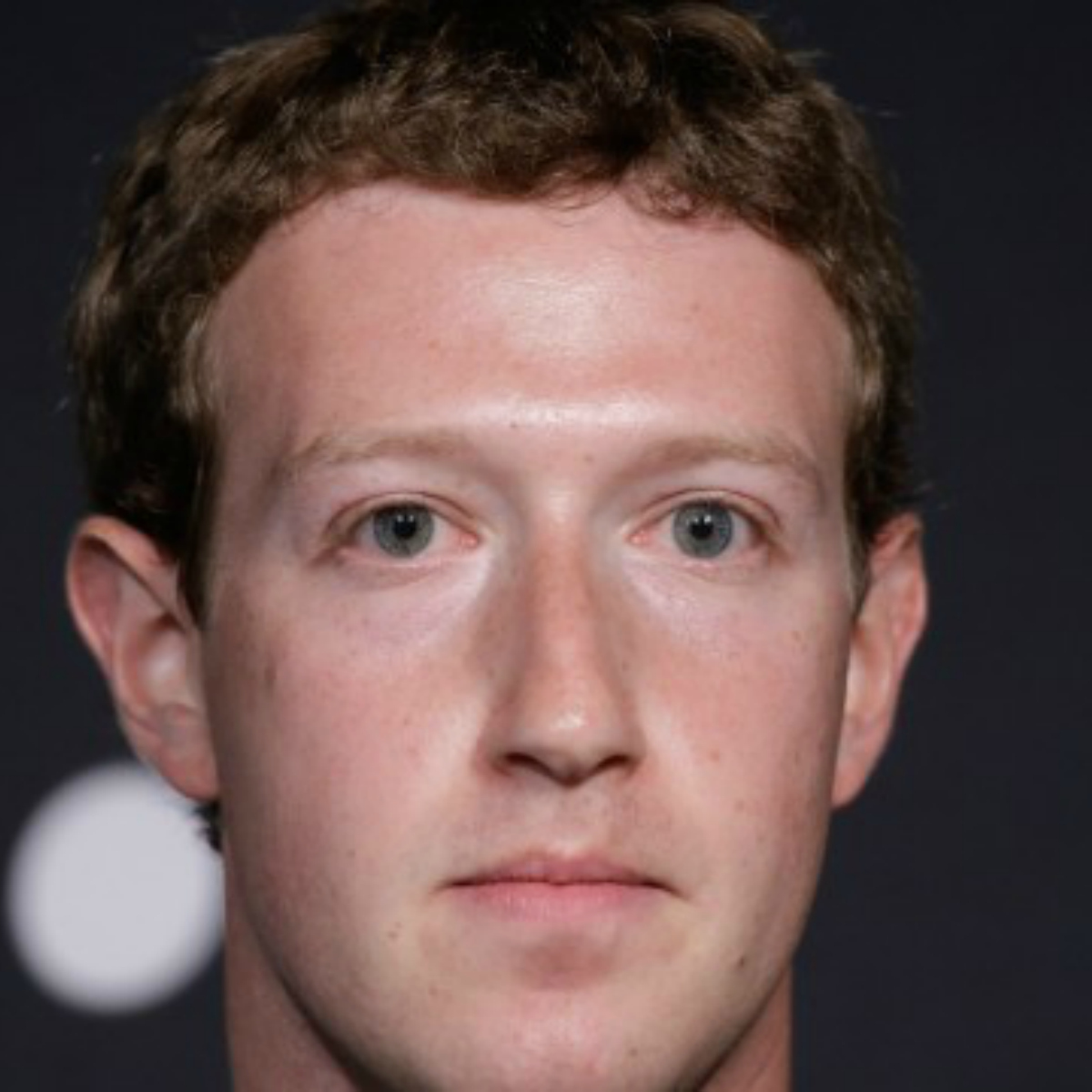 Alemania investiga a Facebook por andar espiando a la gente