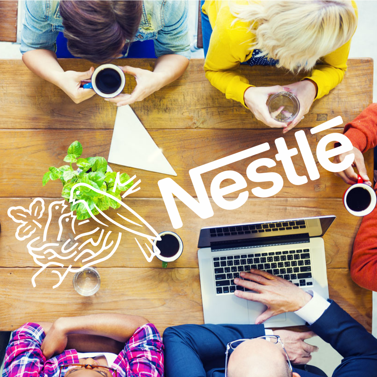 Nestlé ofrecerá apoyo a emprendedores mexicanos
