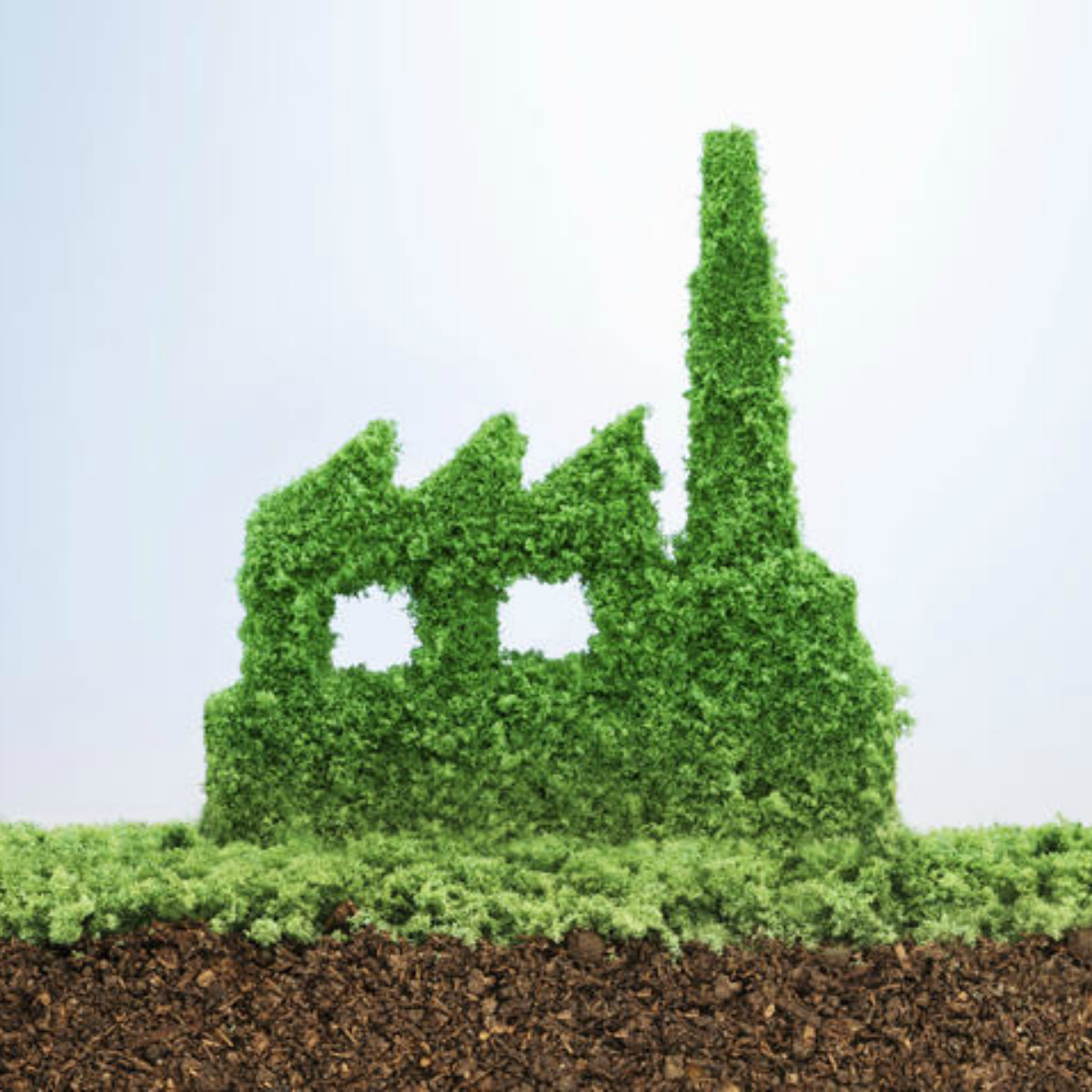 10 cosas que identifican a una empresa sustentable