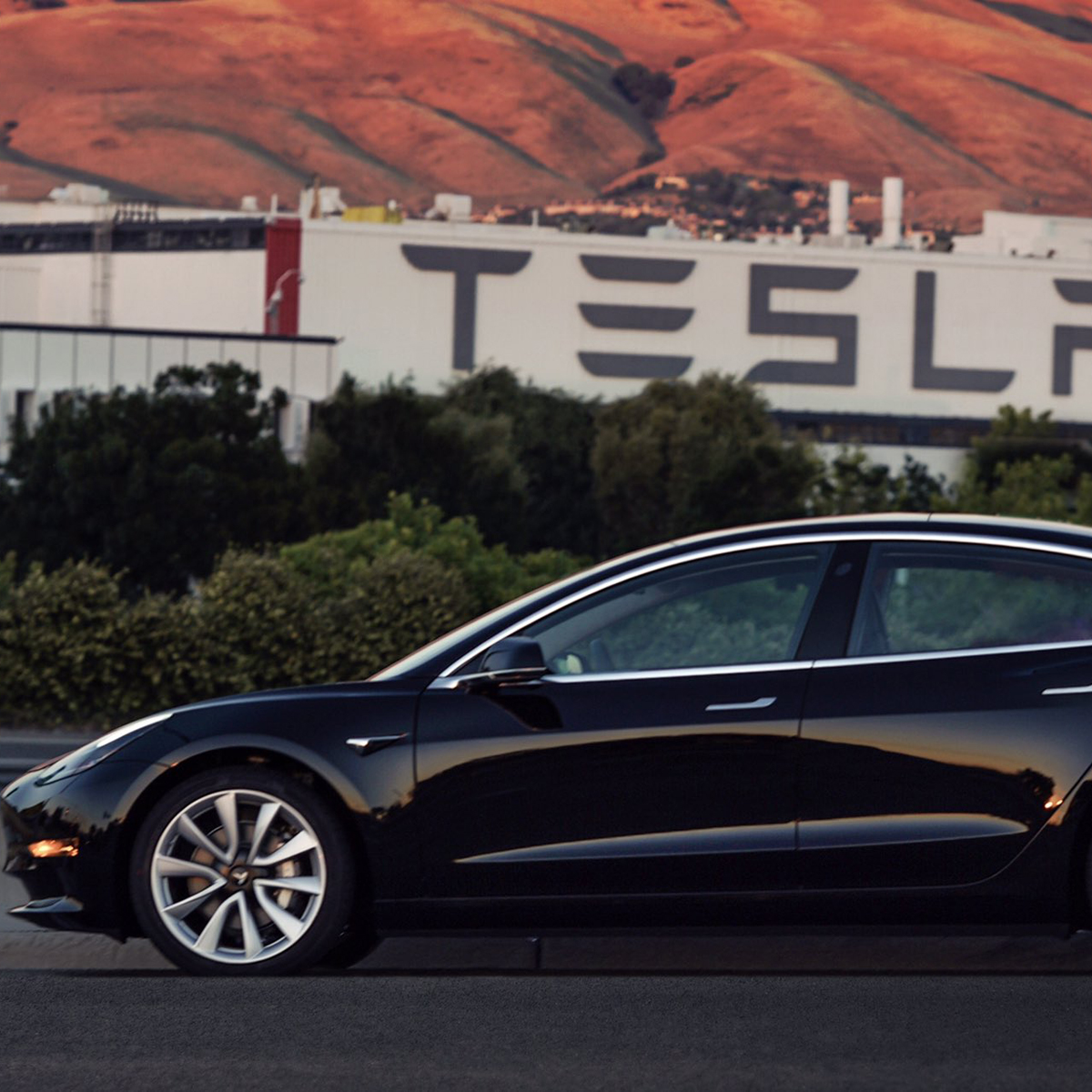 Elon Musk es el propietario del primer Tesla Model 3