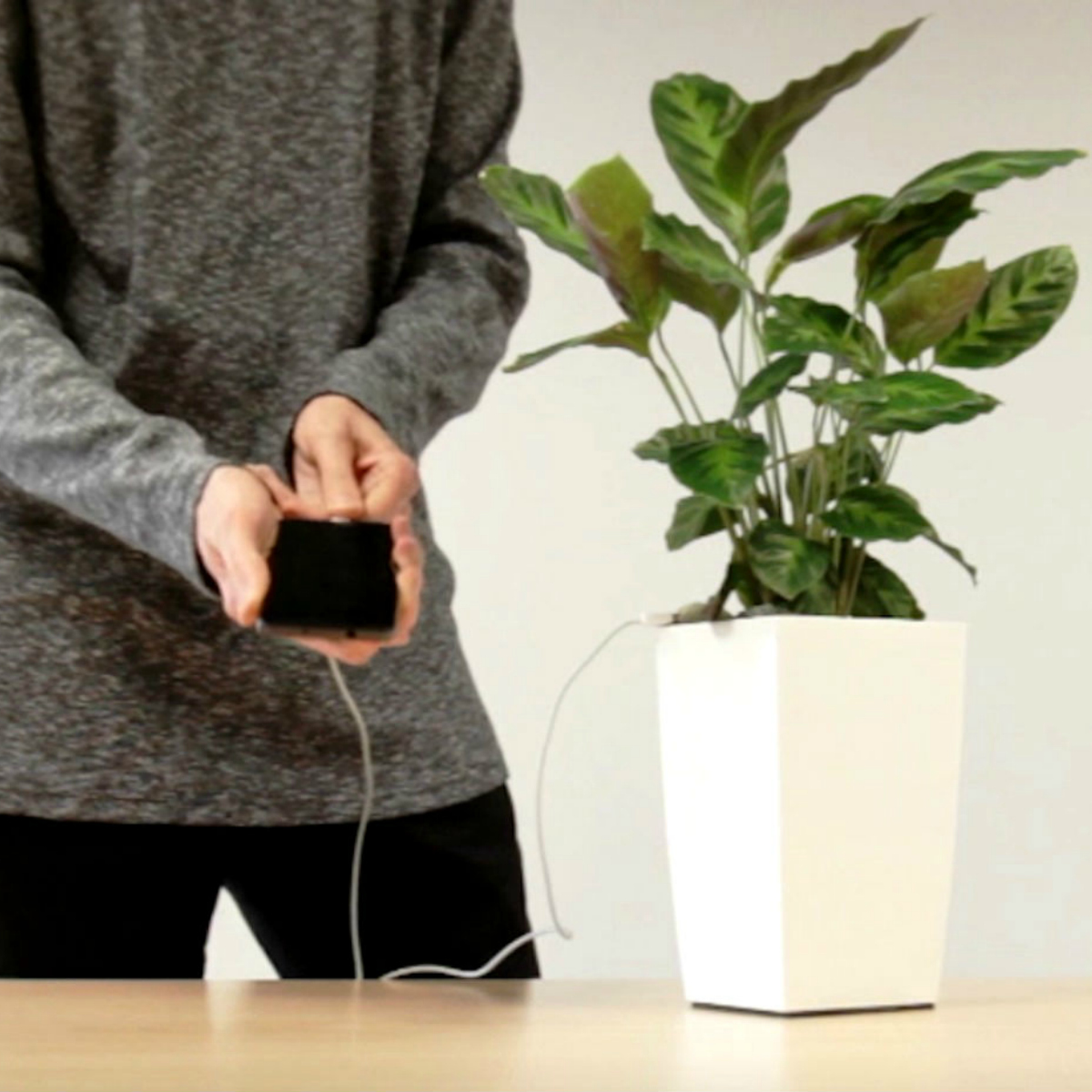 Bioo Lite, la maceta que recarga tu celular