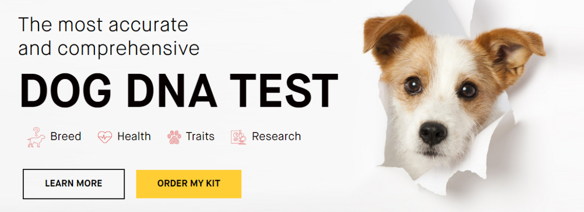 La startup que analiza el ADN de los perros