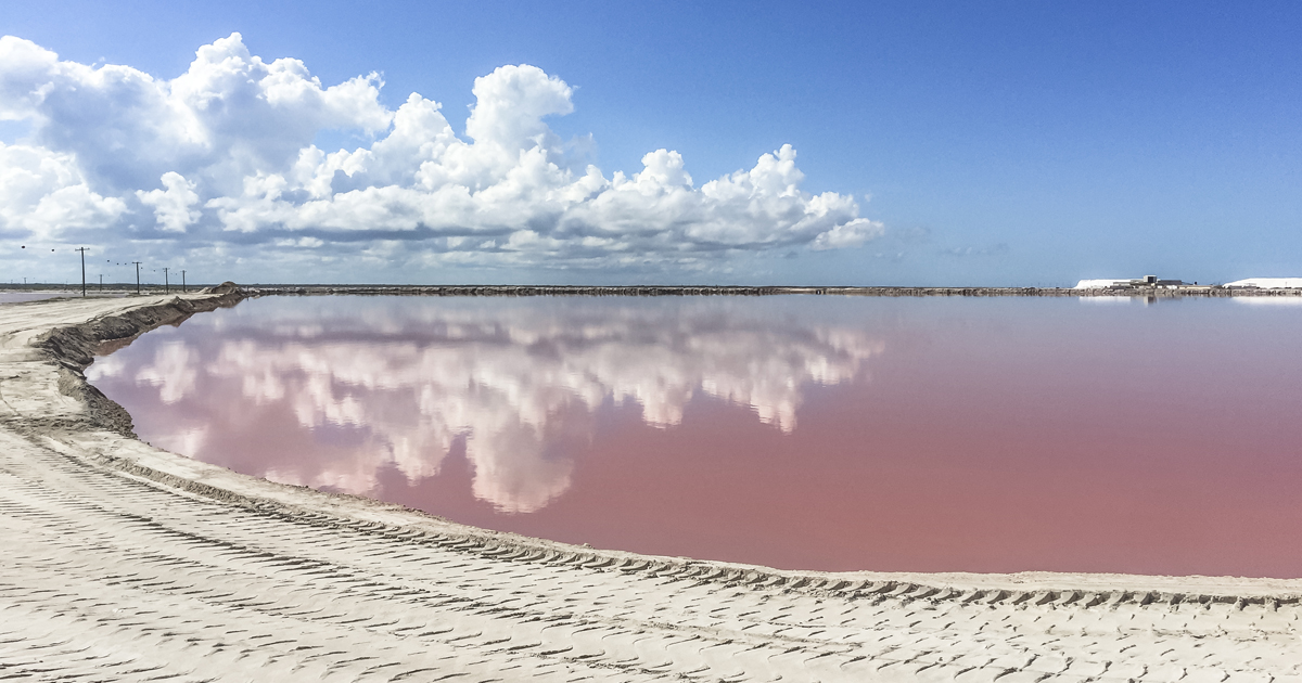 El Impresionante Lago Rosa De Yucatán