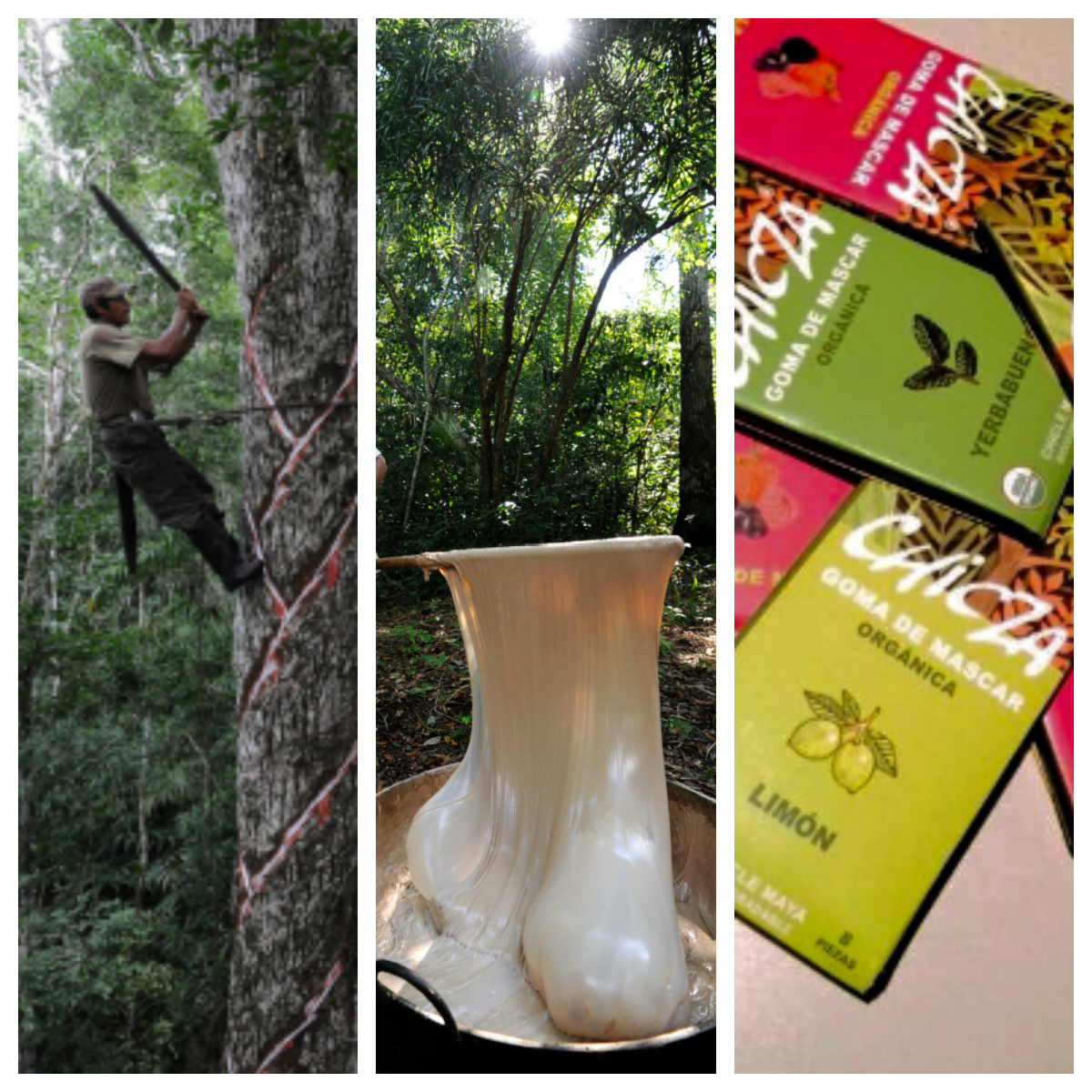 Chicle 100% mexicano está conquistando el mundo