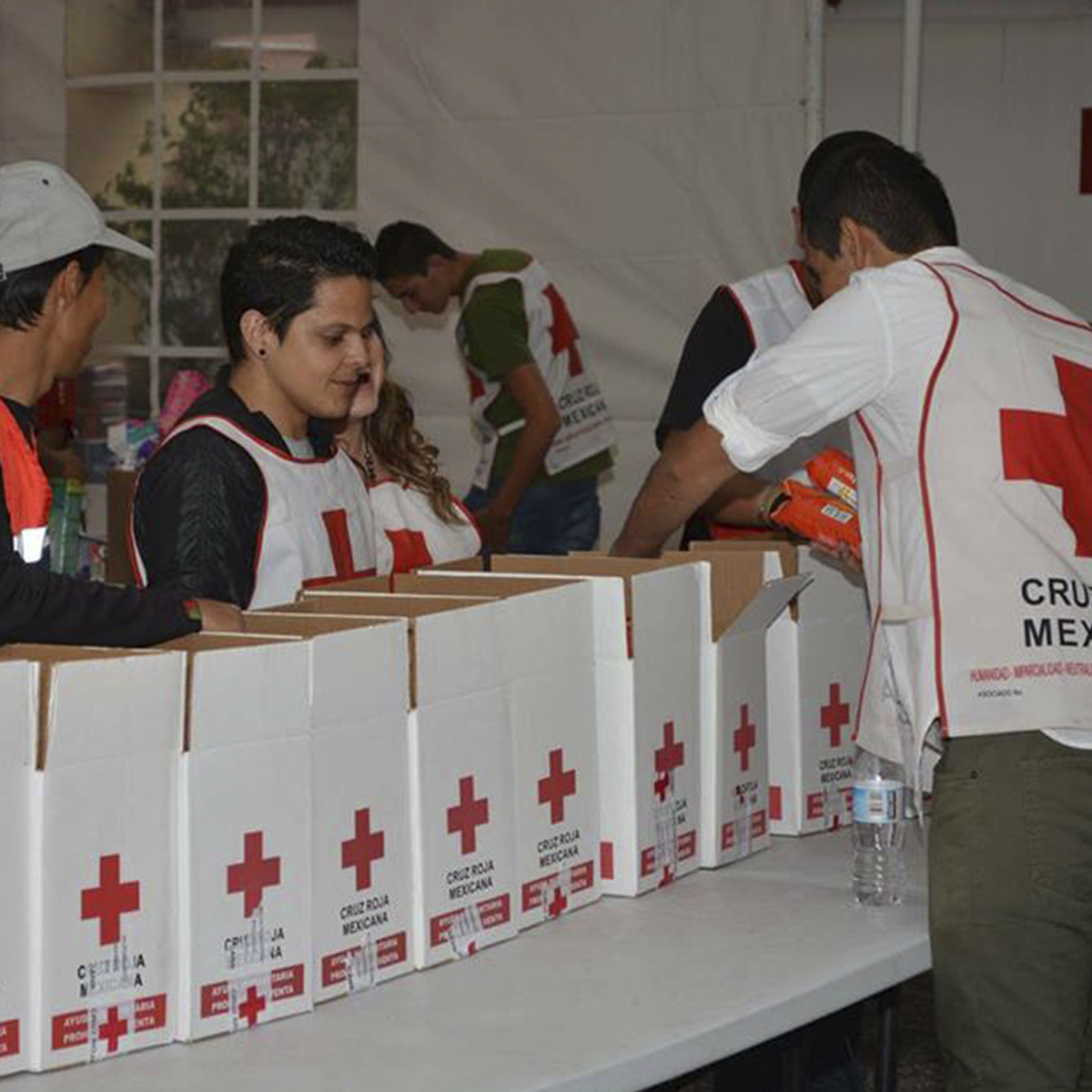 Formas de ayudar a las víctimas del sismo