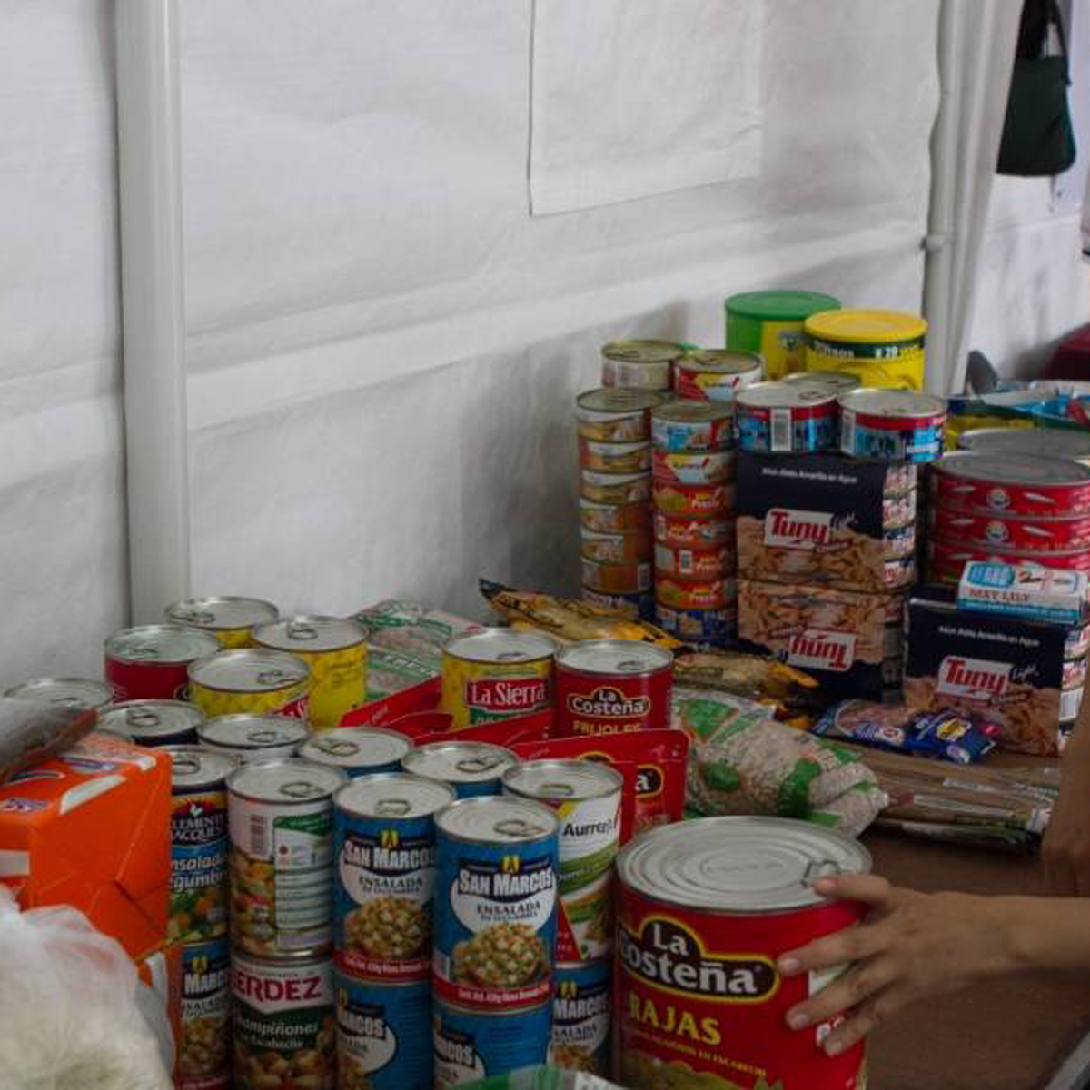 ¿Quieres ayudar a los afectados por el sismo? Aquí puedes hacerlo