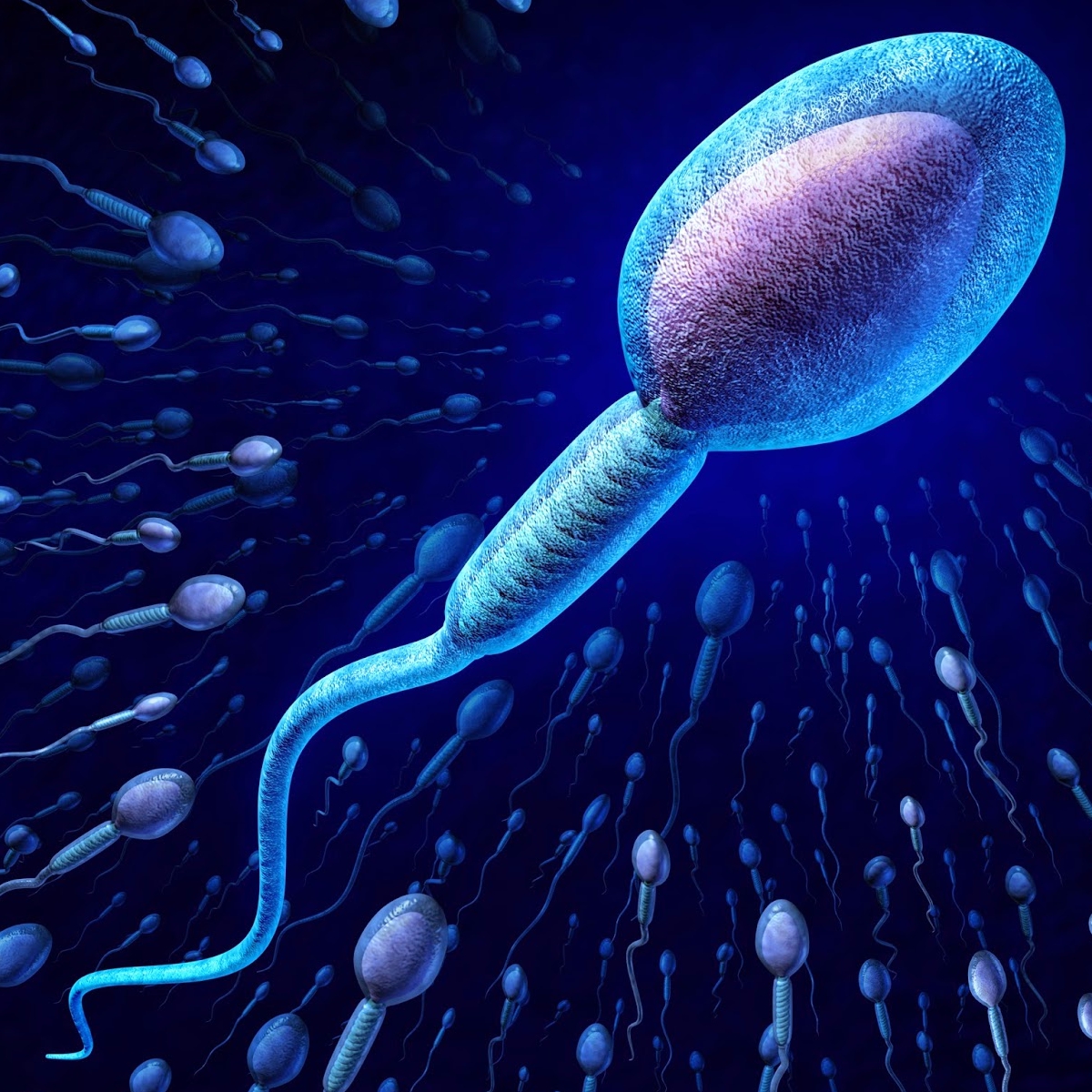 En el semen humano habitan al menos 27 virus