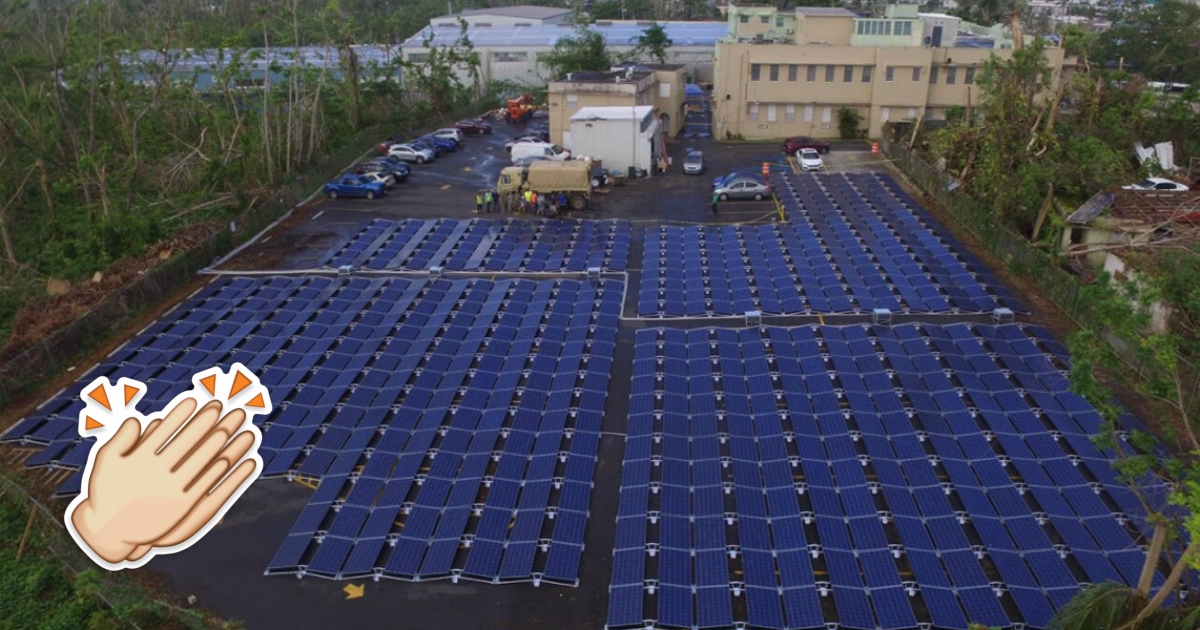 Elon Musk hizo lo que Trump no pudo en Puerto Rico