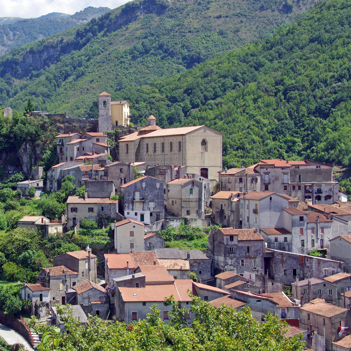 Mejorar manejo de uso de suelo ayudaría a combatir el cambio climático