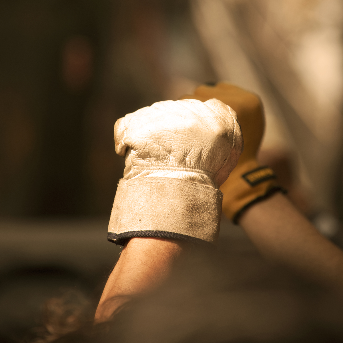 20 fotos que retratan a la sociedad mexicana durante el #19S