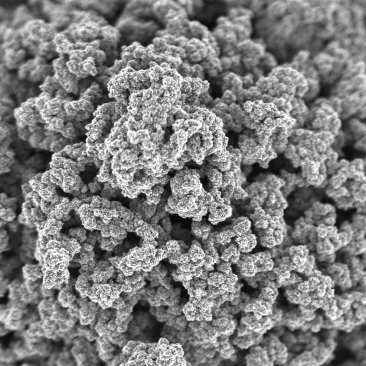 Este logro hará a Samsung el favorito. ¡Despídete Apple!