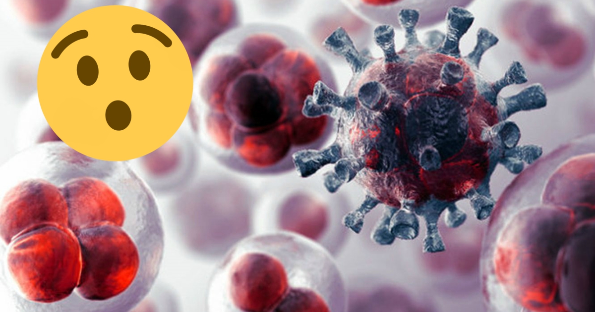 Científicos podrían cambiar la forma de tratar el cáncer para siempre