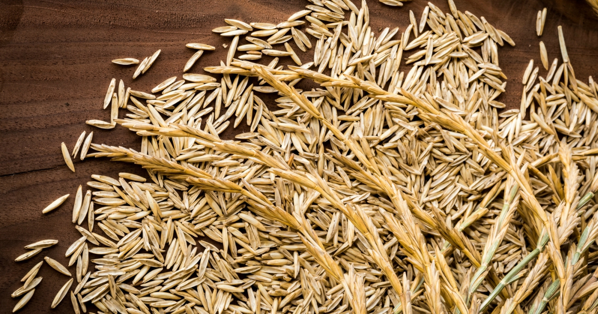 Esta empresa creó el alimento del futuro que, además, es multiusos