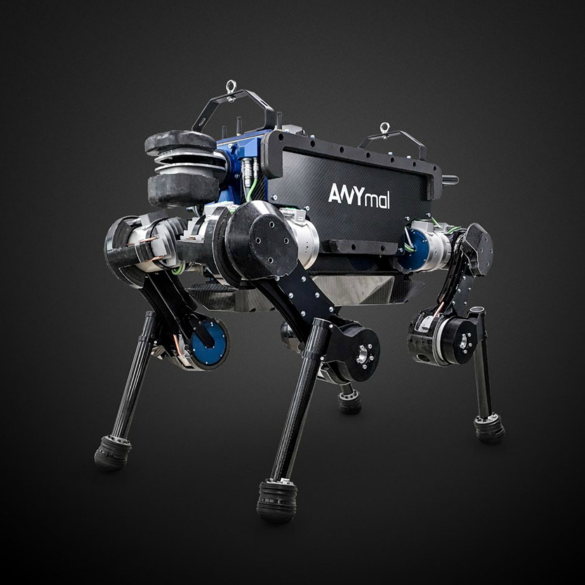 ANYmal, el asombroso robot cuadrúpedo que es autónomo y sabe pedir elevadores
