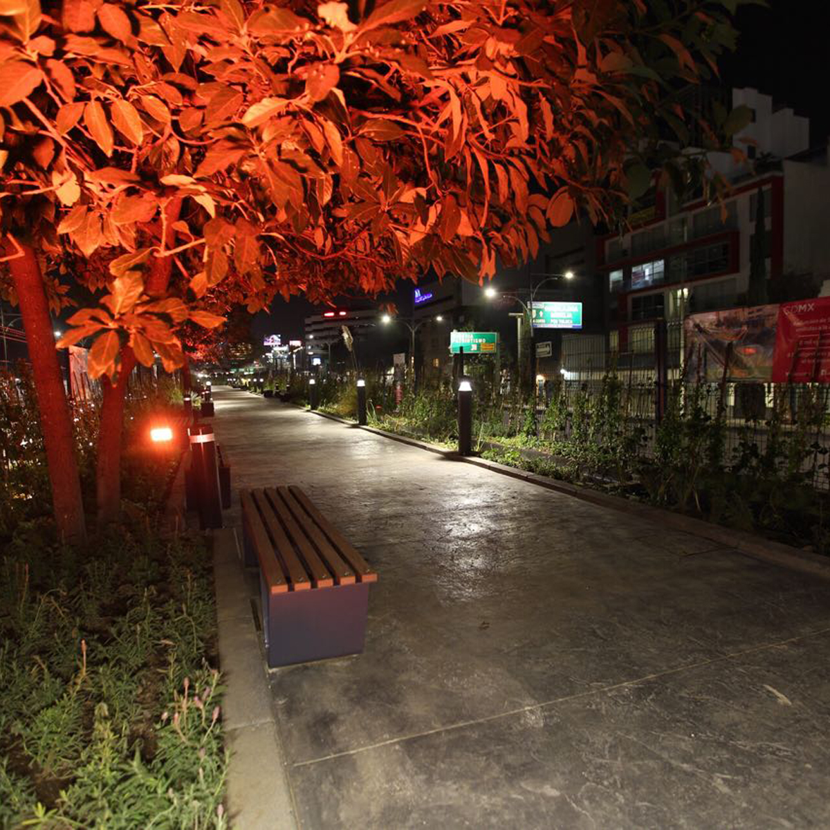 ¿Para qué sirve el nuevo ecoducto de la Ciudad de México?