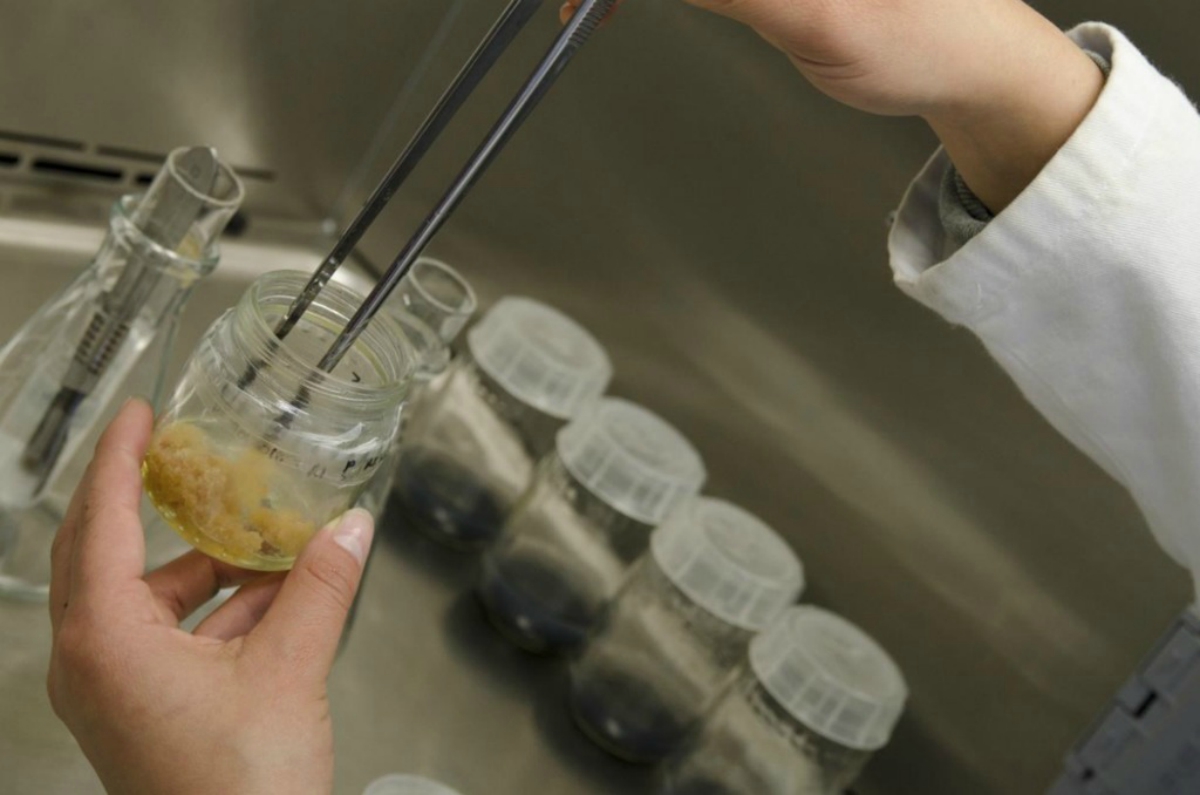 La biotecnología de estos mexicanos cambiará la vida de miles de personas