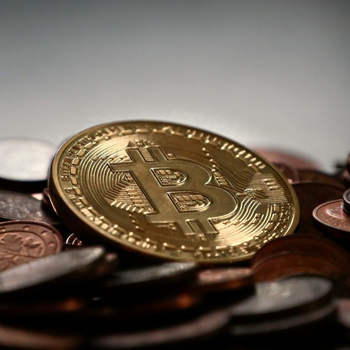 AMLOve Coin: La (sospechosa) criptomoneda creada para apoyar a López Obrador