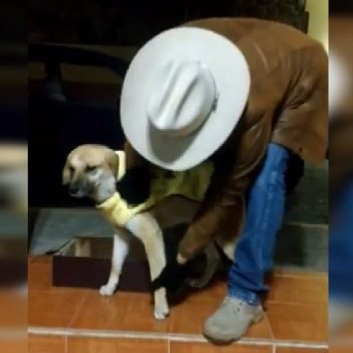 VIDEO: El emprendedor mexicano que le quita el frío a los perros de la calle