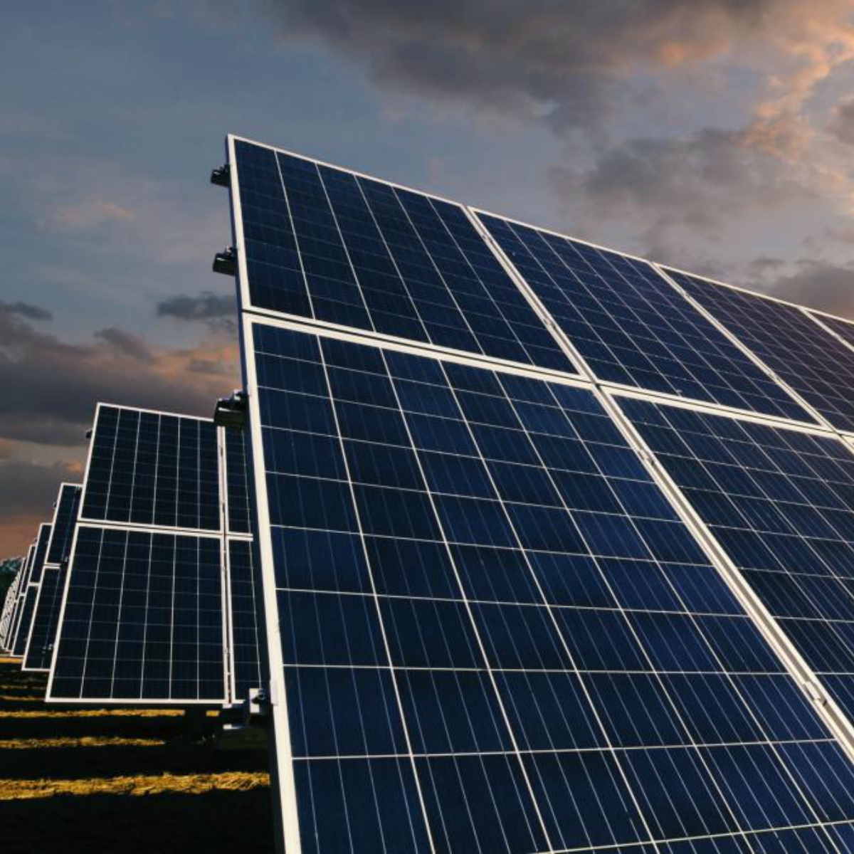 Slim incluye nuevo servicio a Telmex con el que quiere atraparte