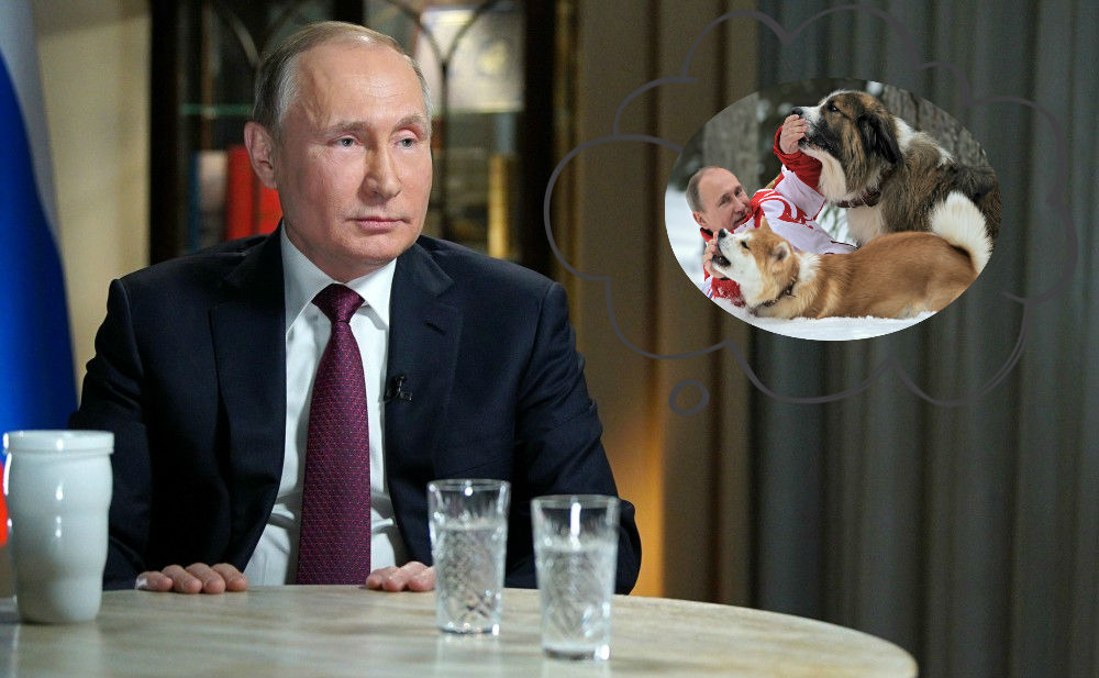 Los costosísimos y lujosos perros con los que rinden tributo a Putin
