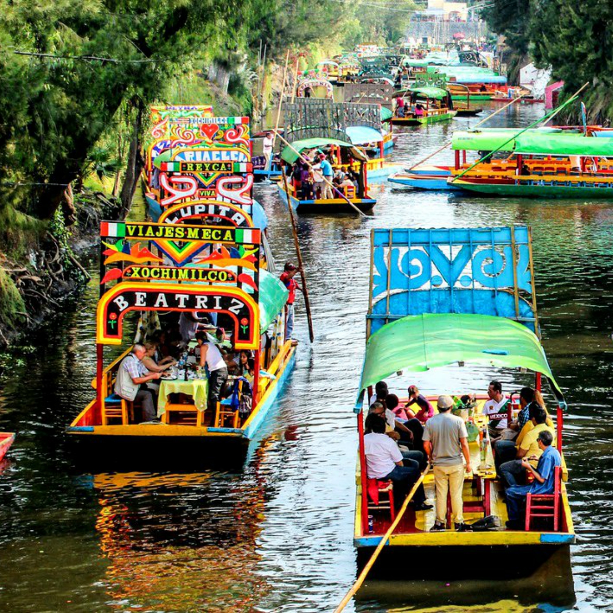 Así puedes reservar una trajinera en Xochimilco por internet