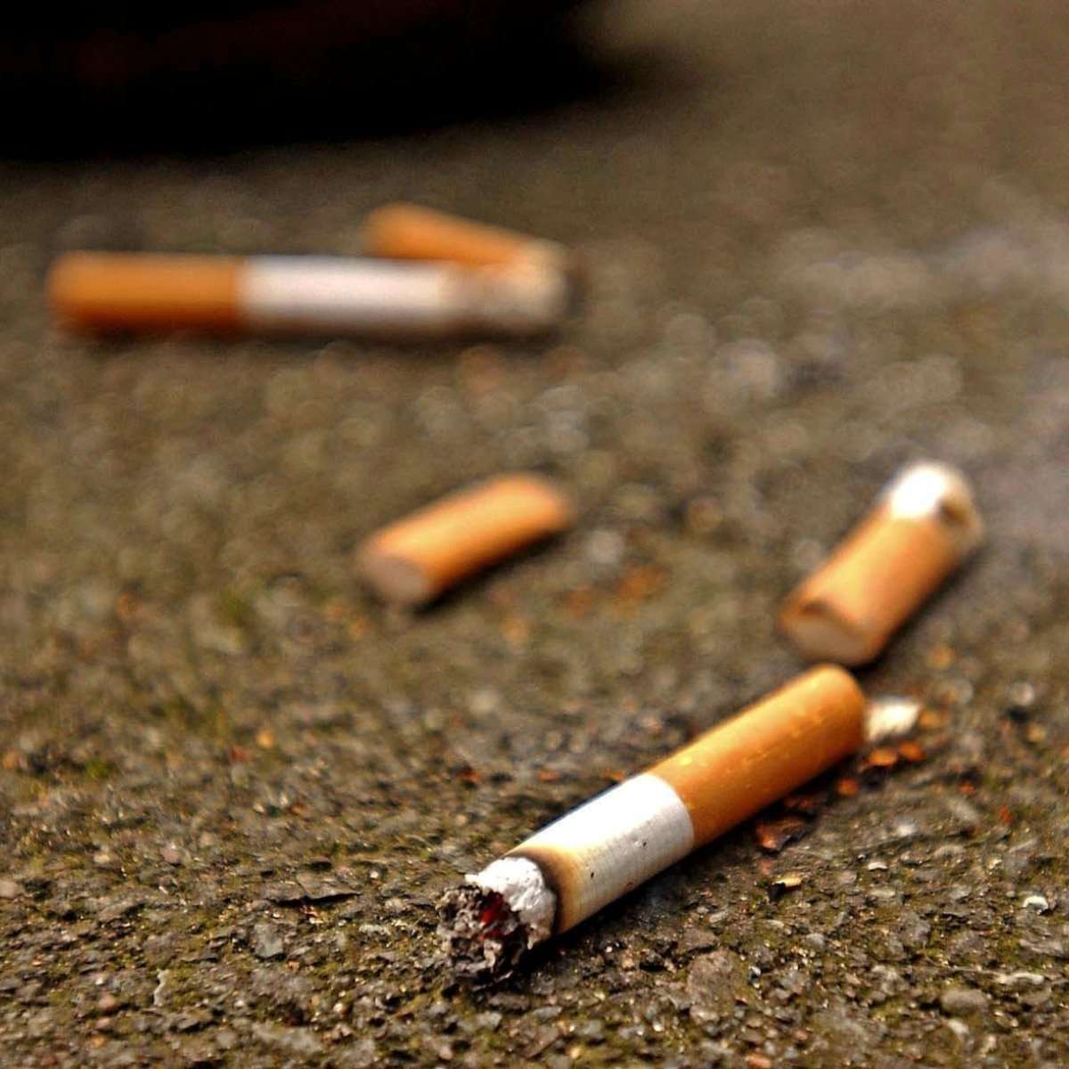 Mexicanos convierten colillas de cigarro en productos como papel o ladrillos