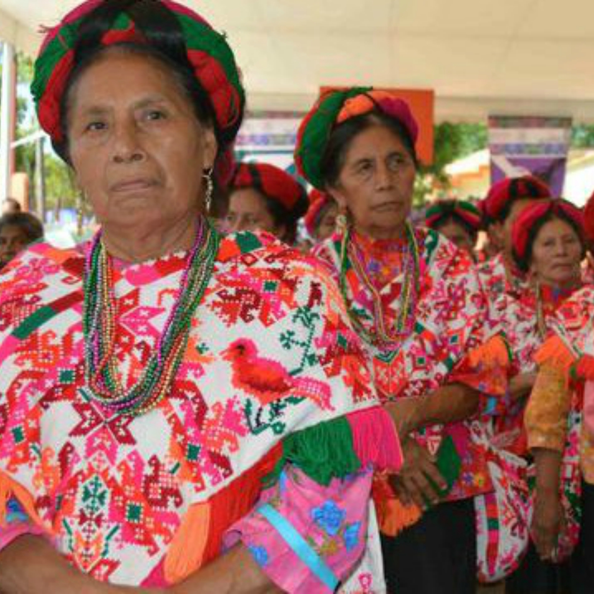Así impulsan a las mexicanas en zonas rurales