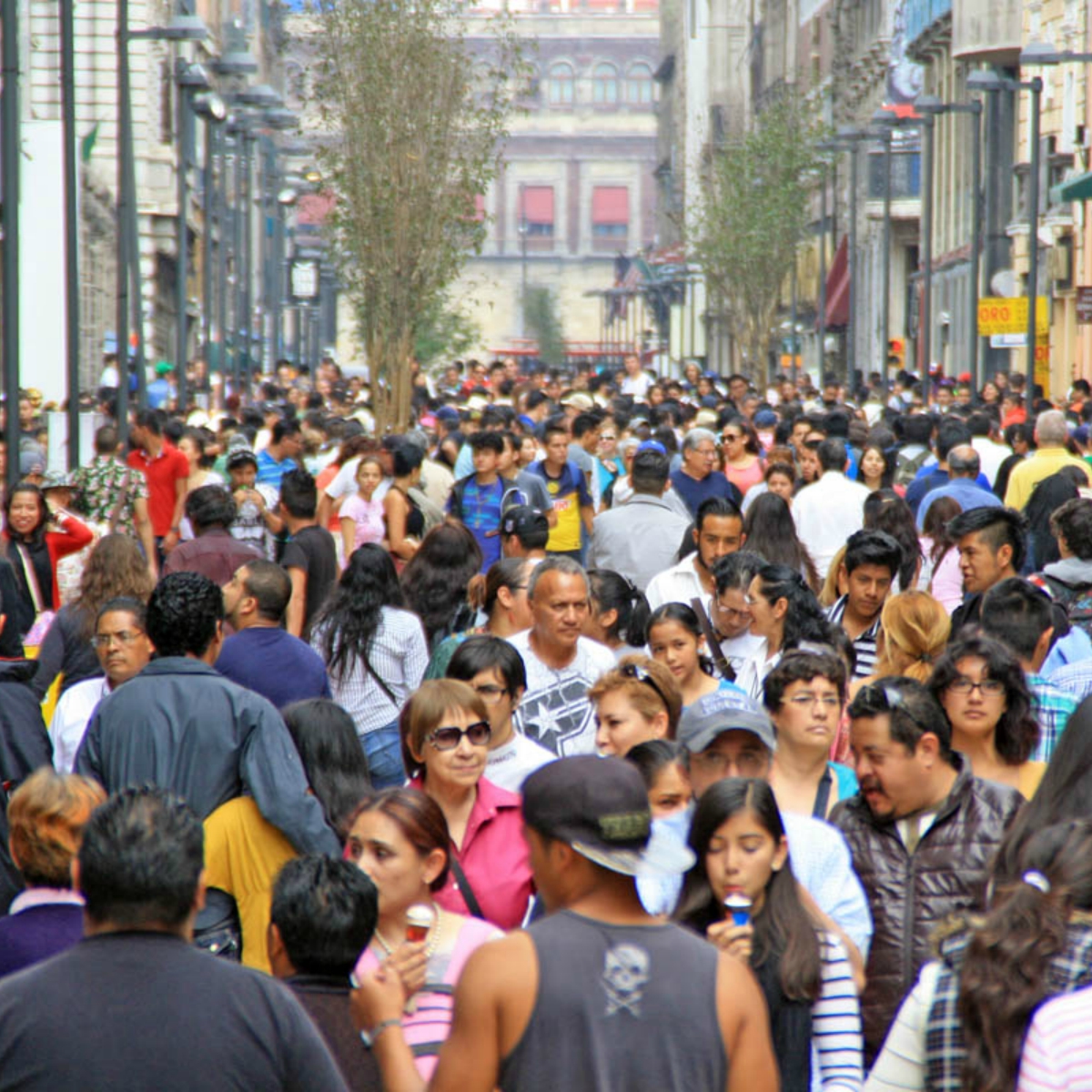 Ellas diseñaron un sistema para generar luz con pisadas que alumbrarán Madero