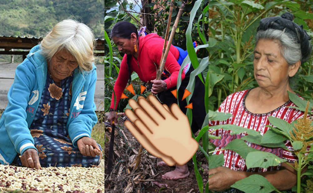 #Aplausos Mujer zapoteca gana concurso internacional de fotografía