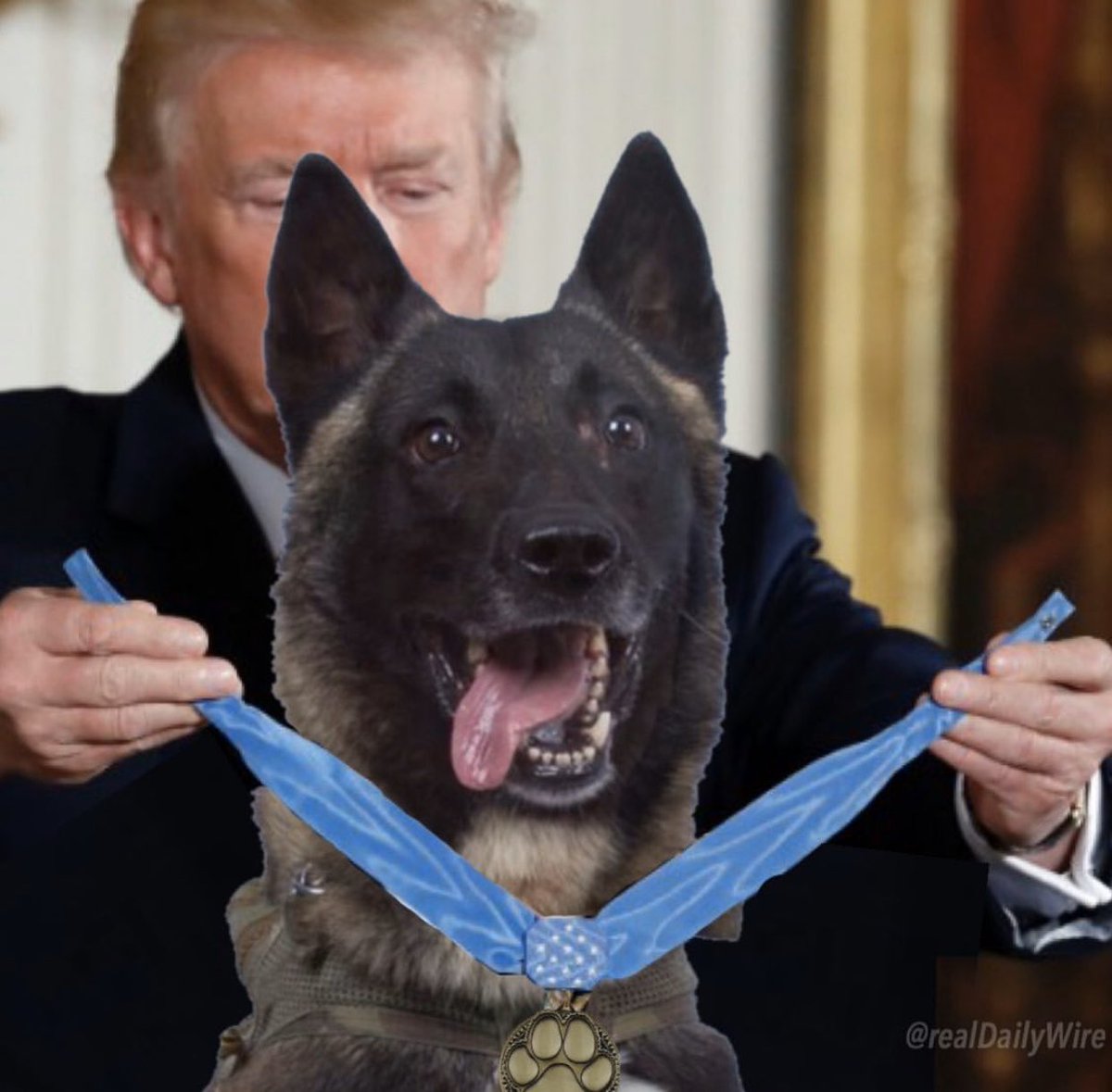 Trump sube imagen photoshopeada con el perro Conan y le llueven los memes